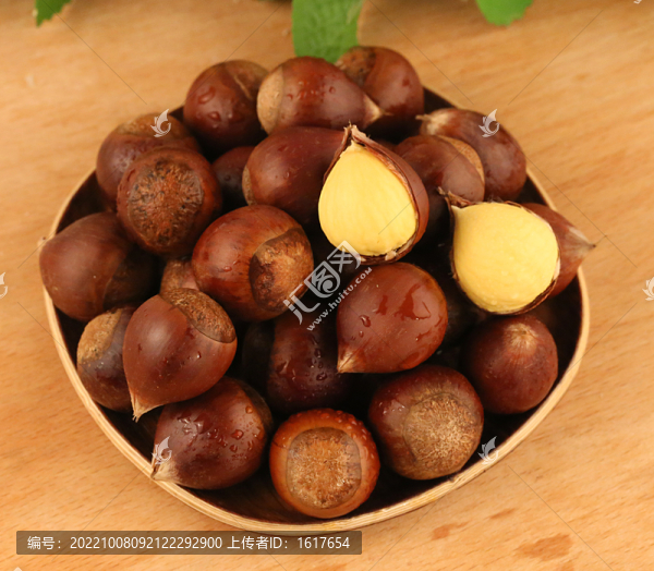 生板栗