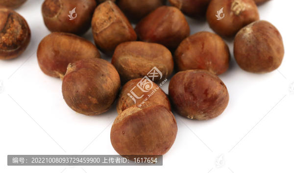 生板栗