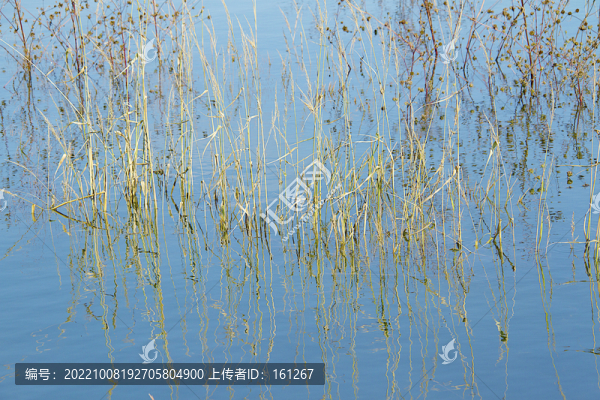吉林蛤蟆河秋景