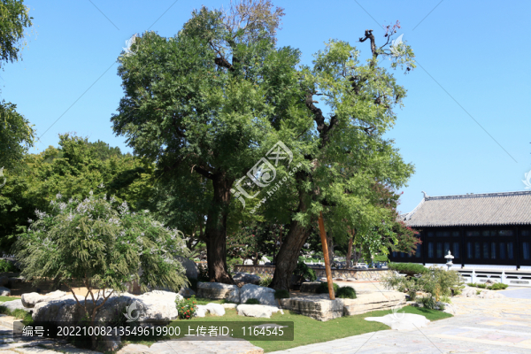 山東臨沂瑯琊園
