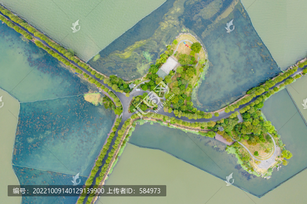 航拍武漢東湖綠道風(fēng)景區(qū)湖中道