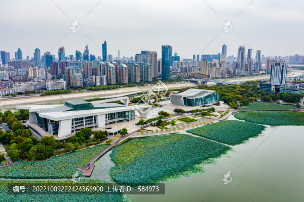 航拍湖北武漢月湖風(fēng)景區(qū)荷塘