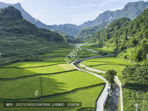 美麗鄉(xiāng)村梯田
