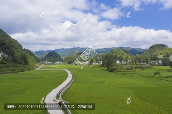 鄉(xiāng)村振興建設(shè)