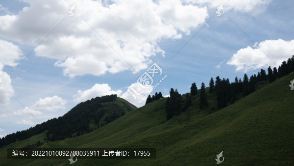 雪山草原