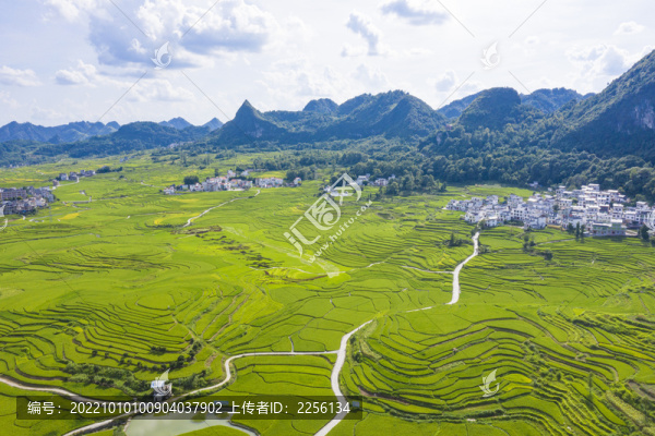 美麗鄉(xiāng)村稻田梯田