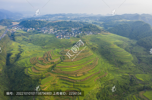 貴州梯田