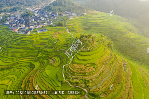 貴州自然風(fēng)光梯田稻田