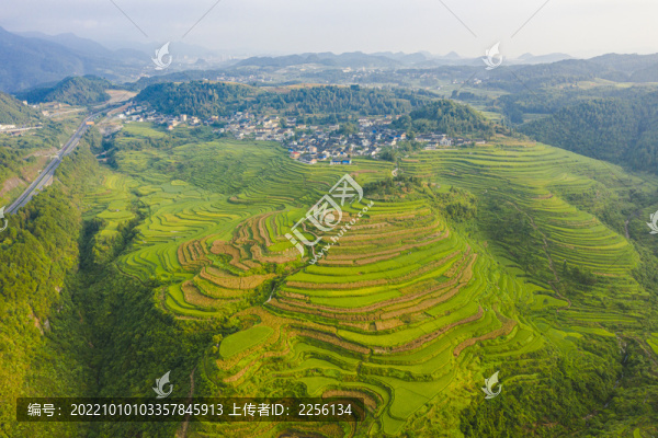 貴州自然風(fēng)光稻田