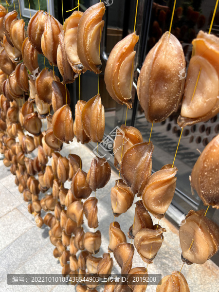 鮑魚干