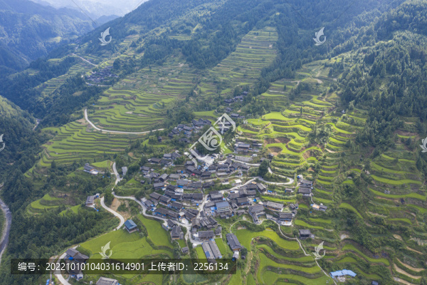 自然風光大山
