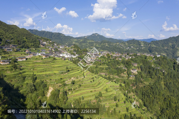 山區(qū)梯田