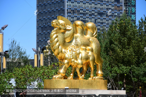 金駱駝