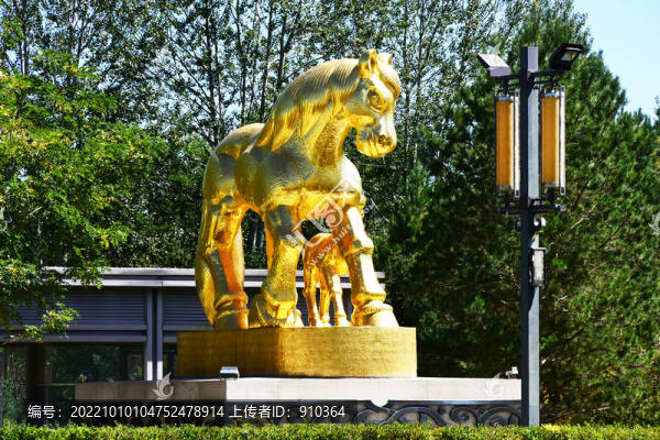 黃金馬