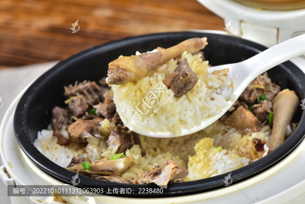 住家鴿飯