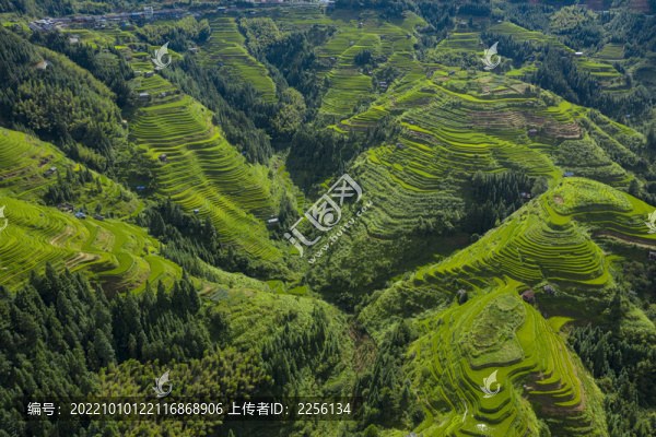 梯田山脈