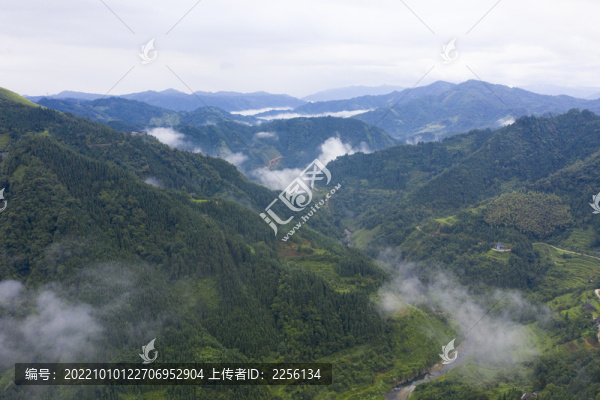 山區(qū)云霧繚繞