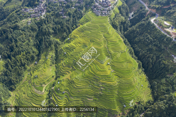 加榜梯田