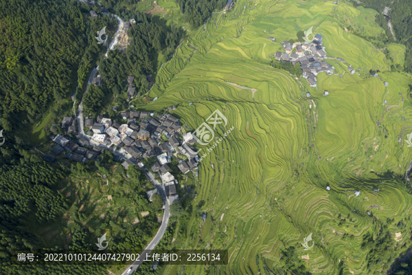 貴州梯田
