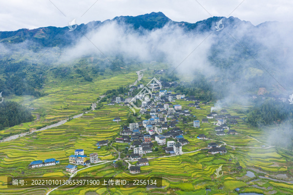 貴州山區(qū)梯田