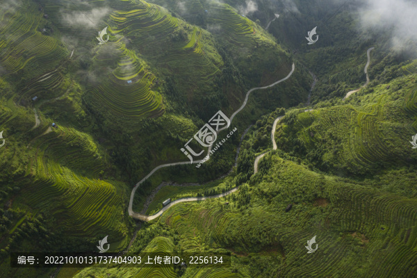 山區(qū)公路