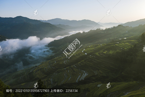加水梯田