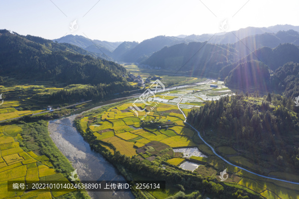 山區(qū)梯田稻田