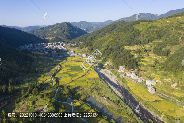 山區(qū)稻田風(fēng)光