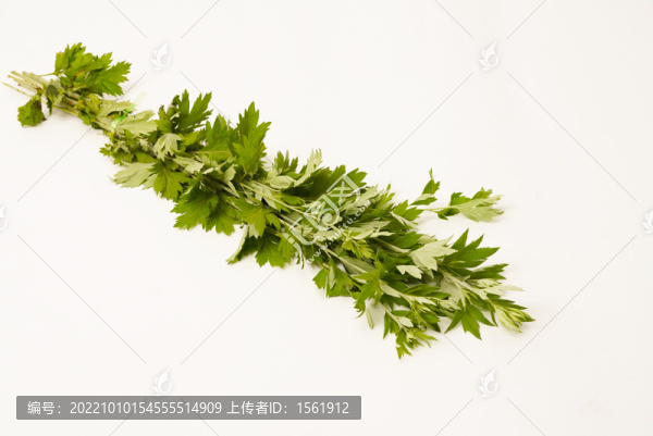 艾草