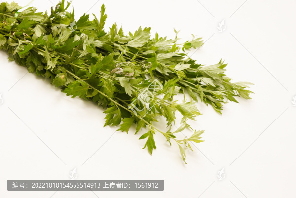 艾草