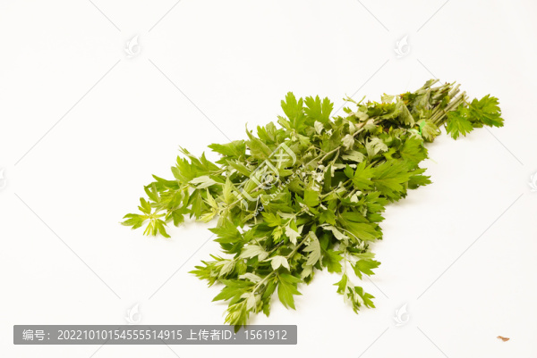 艾草