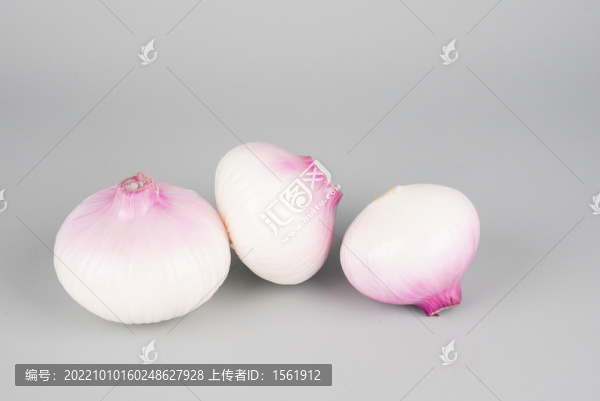 洋蔥