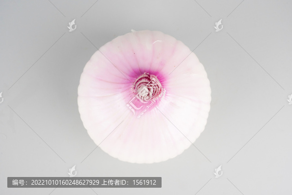 洋蔥