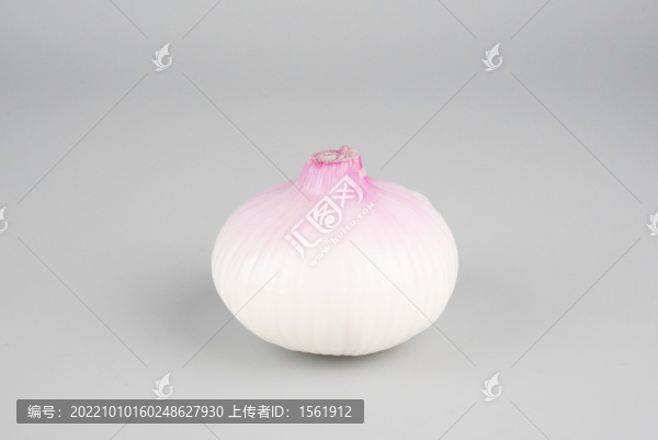 洋蔥