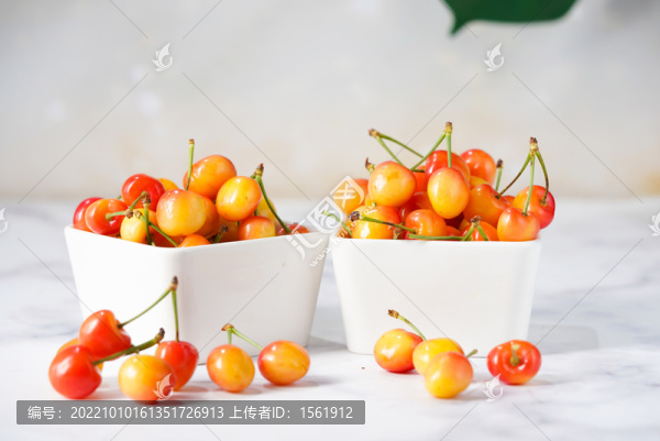 黃櫻桃