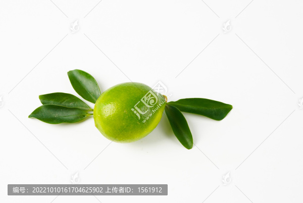 青檸檬