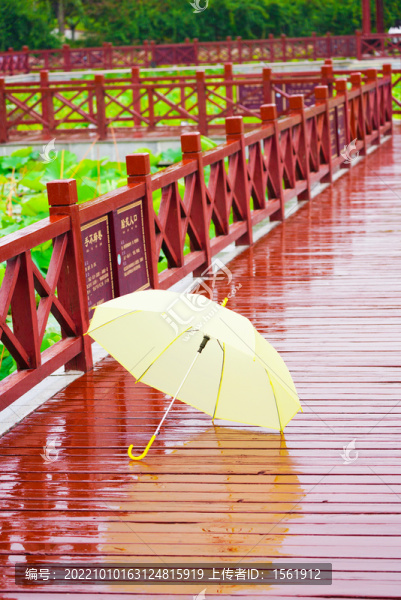 雨后雨傘