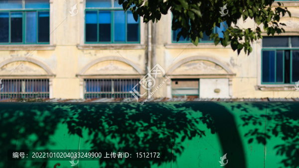 樹影落在綠色的管道上