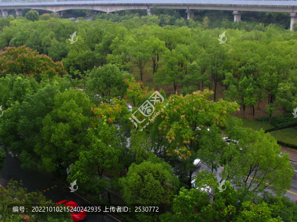 秋染翠林