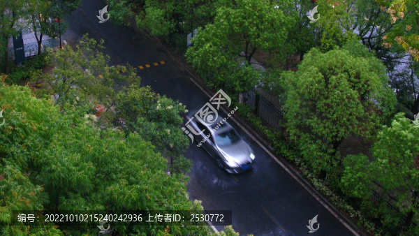 秋染翠林