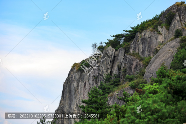 括蒼山