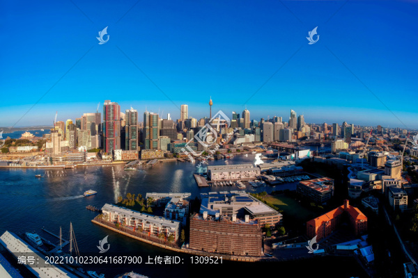 悉尼