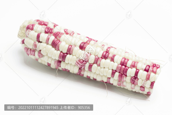 花糯玉米