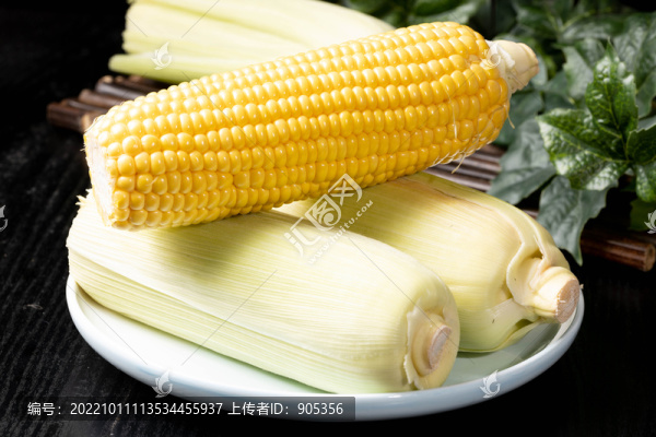 甜玉米