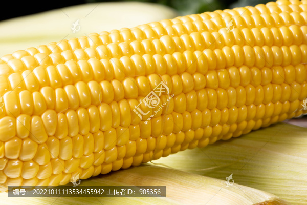 甜玉米