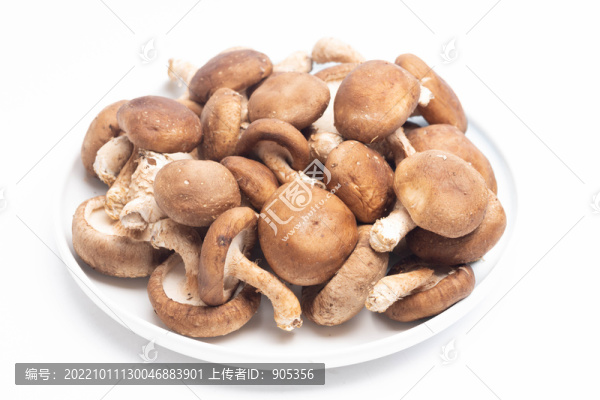 香菇