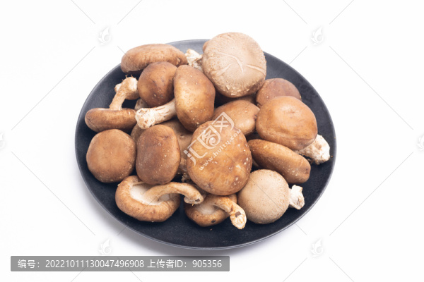香菇