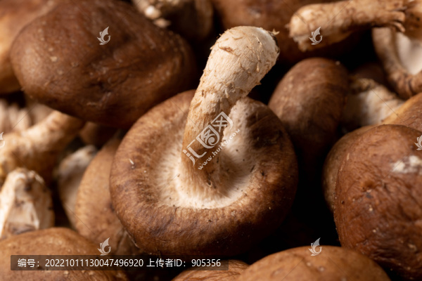香菇