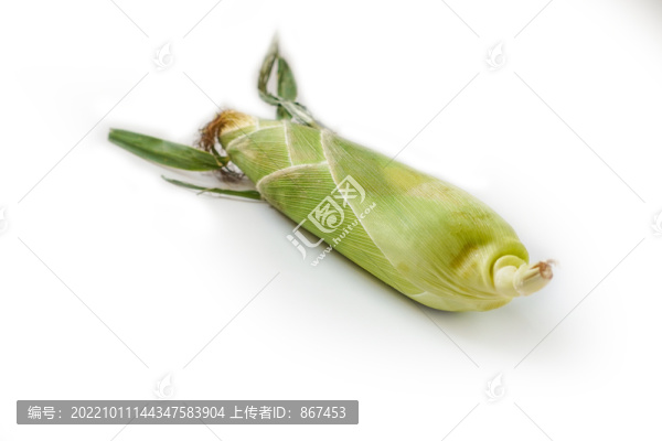 玉米