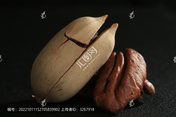 開心果